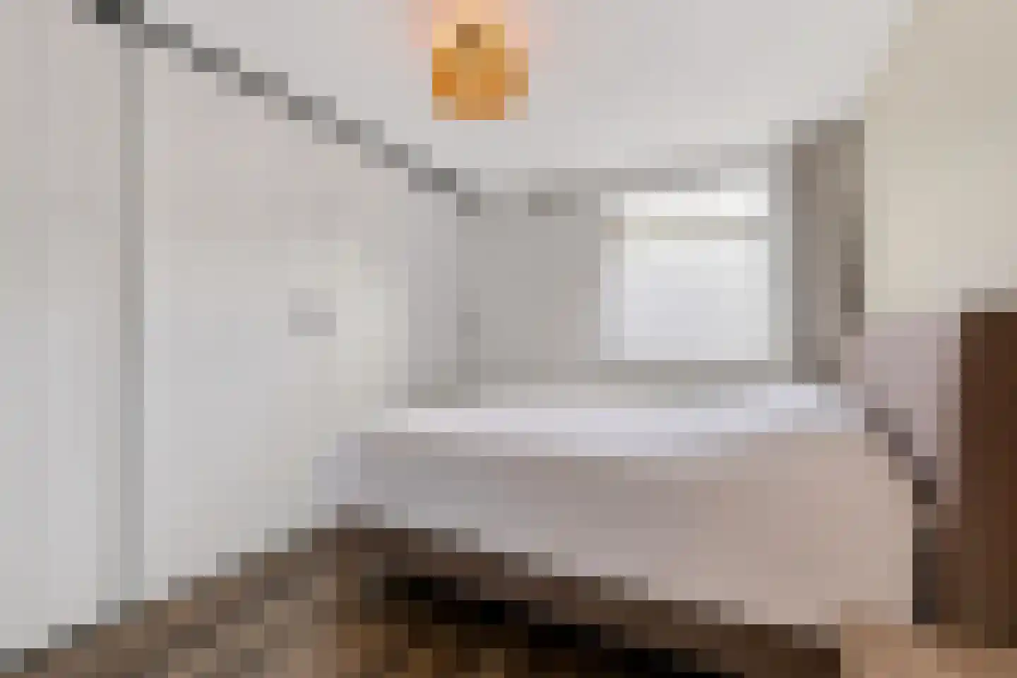 Compagniestraat 52 Amsterdam thumbnail 4