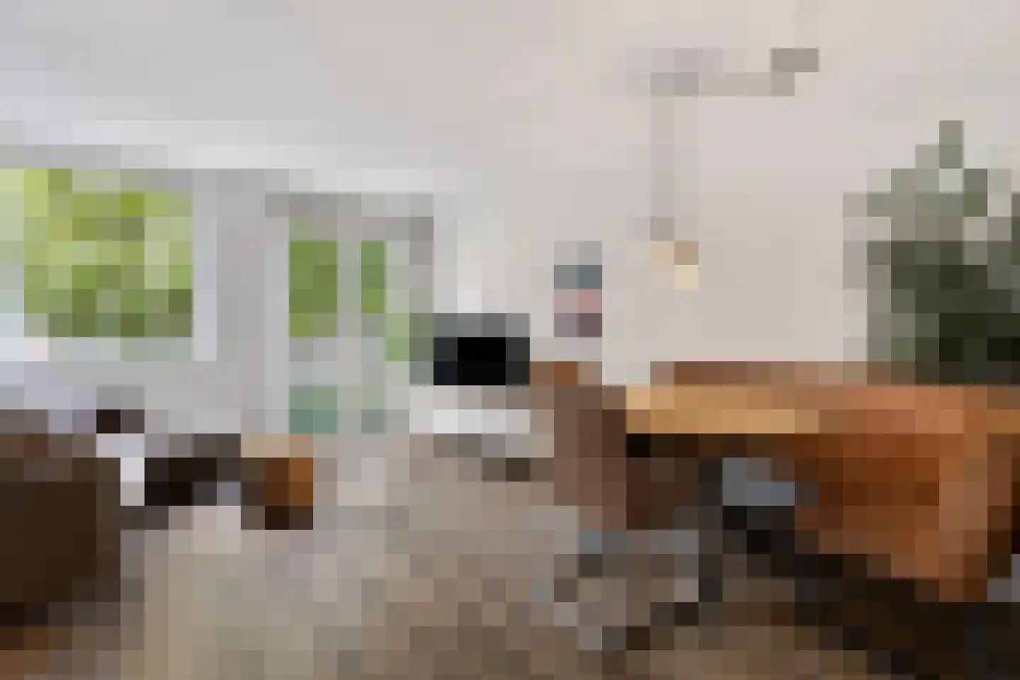 Compagniestraat 52 Amsterdam thumbnail 7