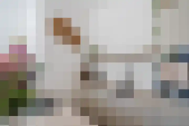 Compagniestraat 75 Alkmaar thumbnail 4