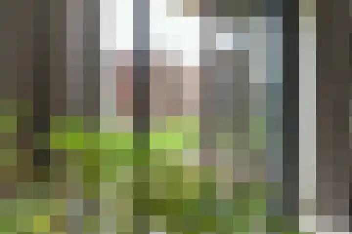 Compagniestraat 79 Alkmaar thumbnail 38