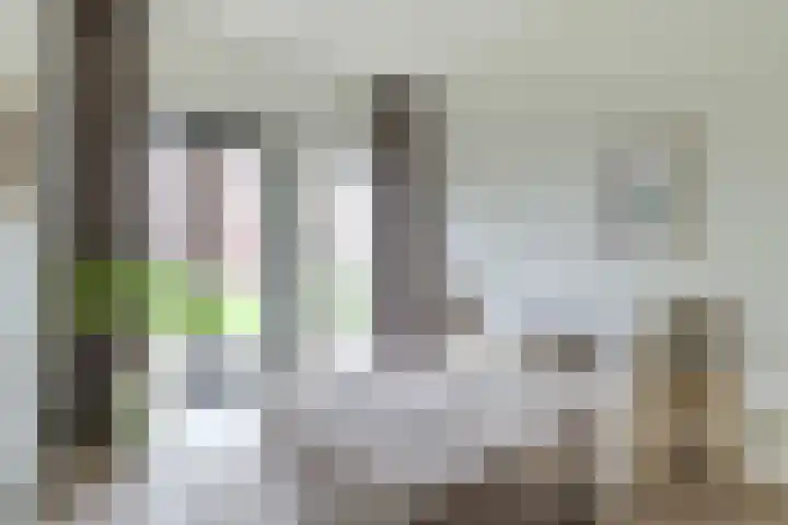 Compagniestraat 79 Alkmaar thumbnail 4
