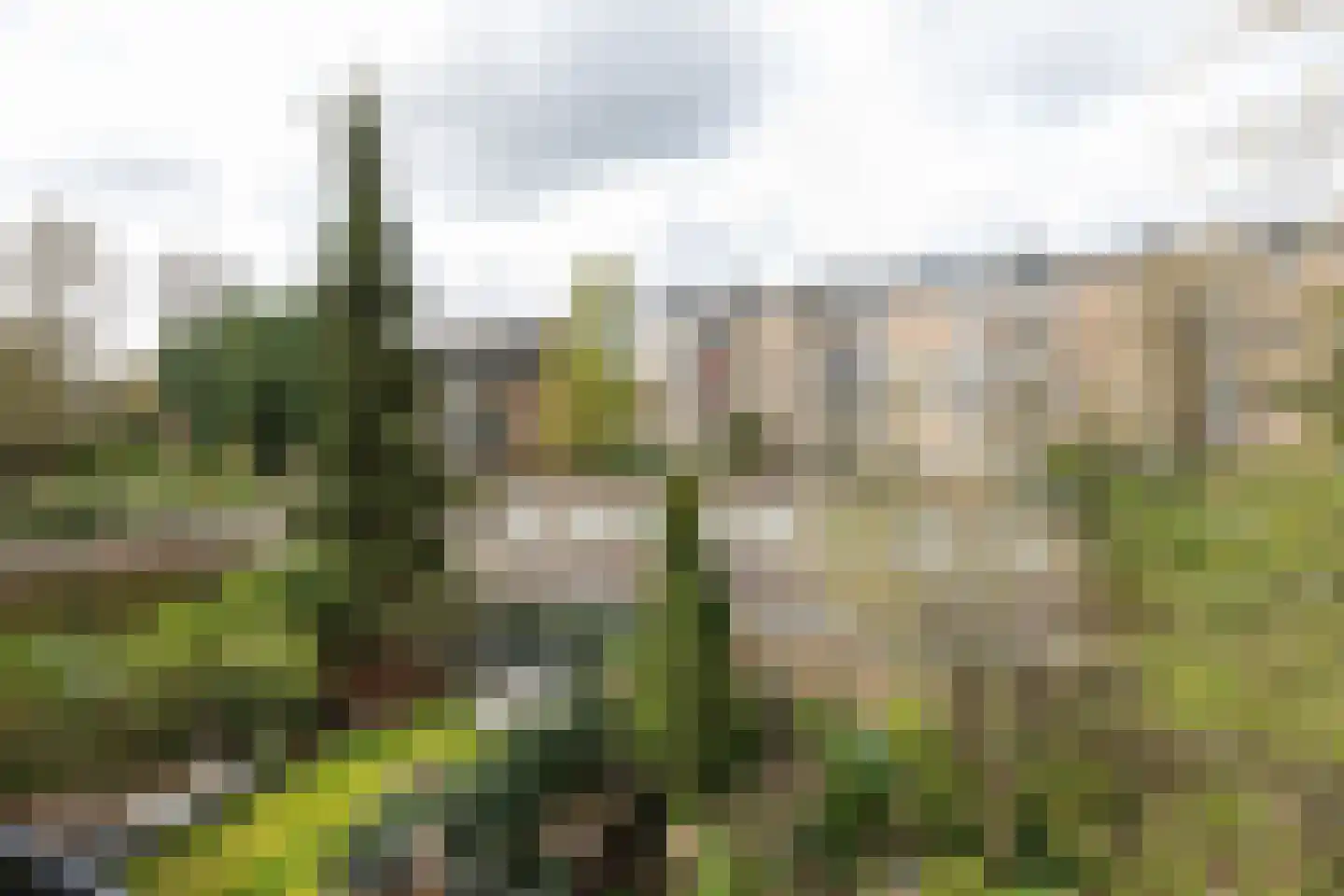Compagnieweg 10 Hilversum thumbnail 23