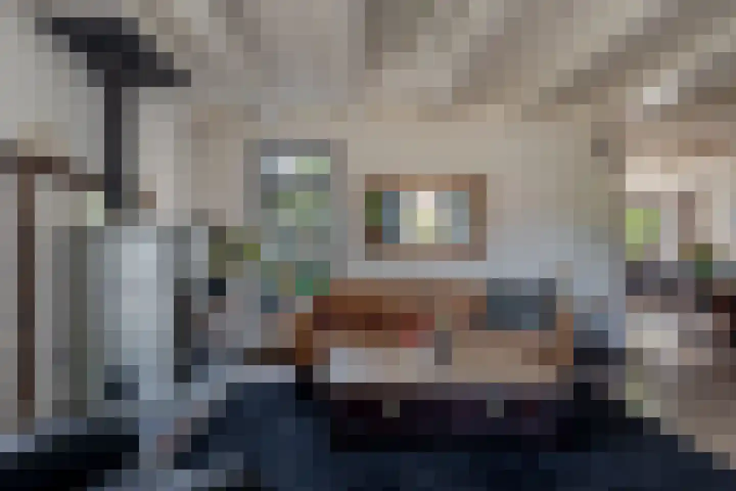 Compagnonsfeart 17 Lippenhuizen thumbnail 15