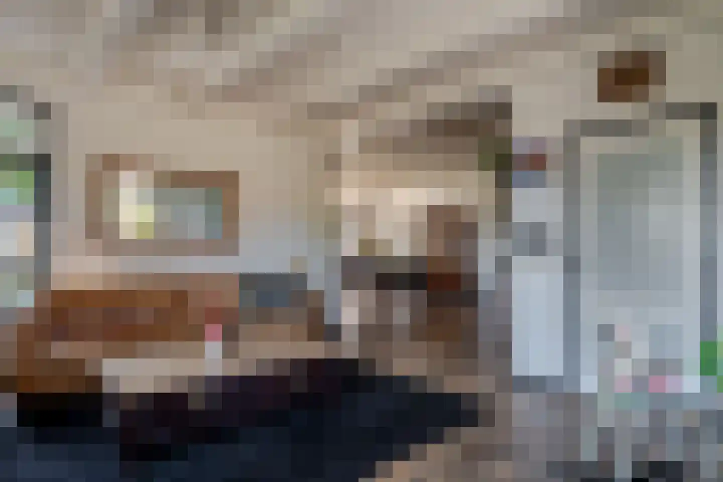 Compagnonsfeart 17 Lippenhuizen thumbnail 16