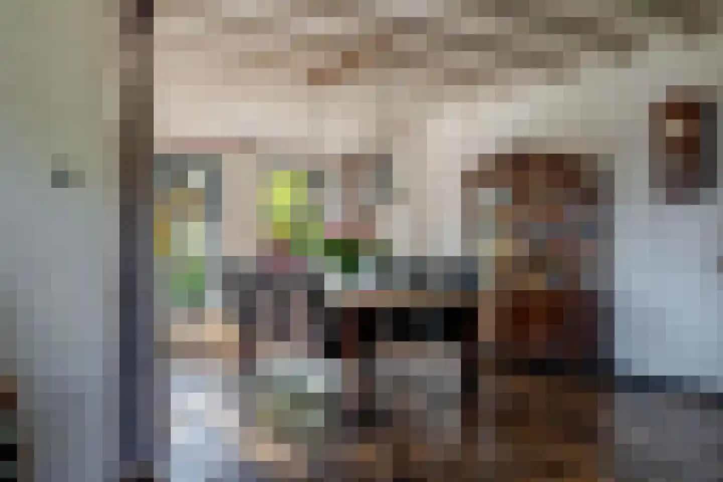 Compagnonsfeart 17 Lippenhuizen thumbnail 20