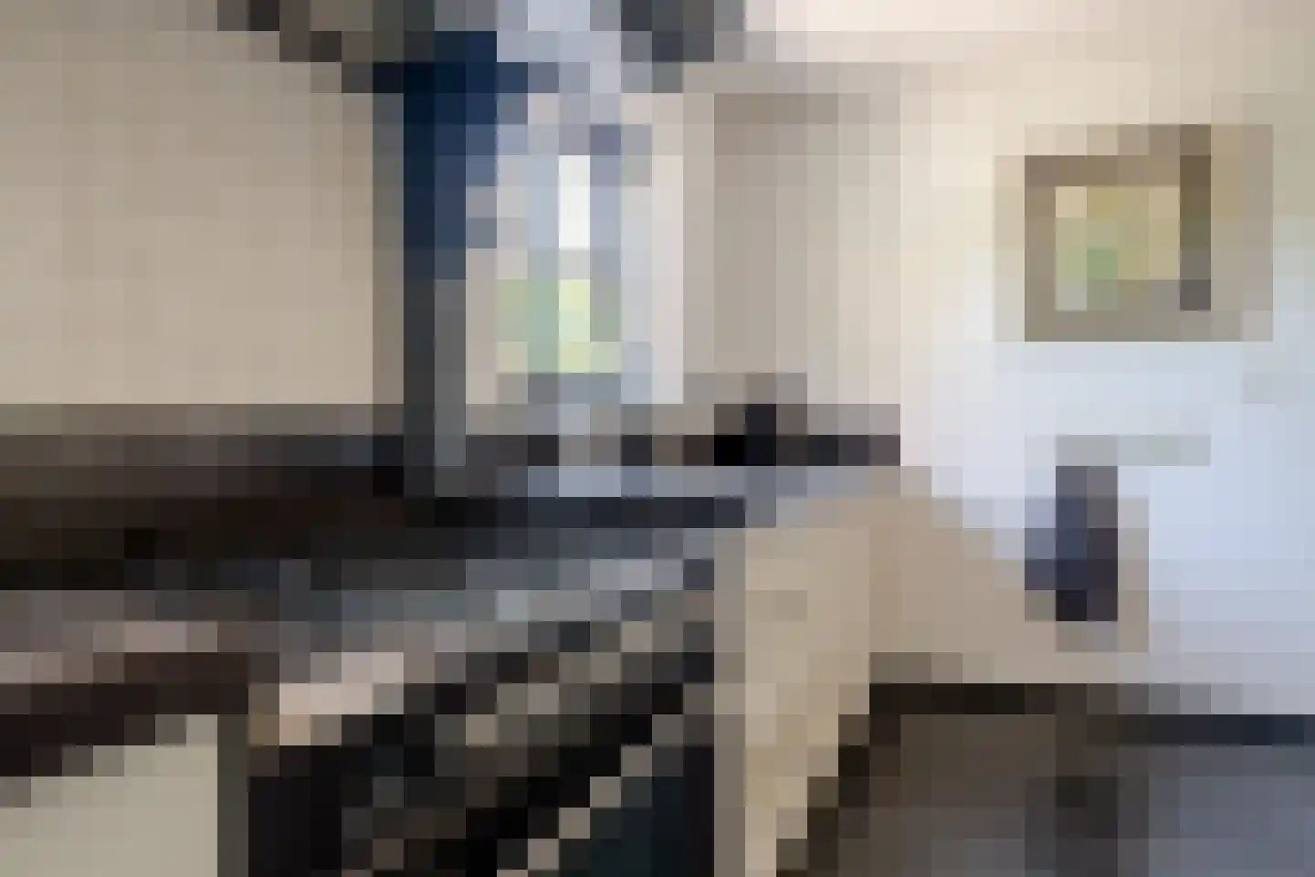 Compagnonsfeart 17 Lippenhuizen thumbnail 25