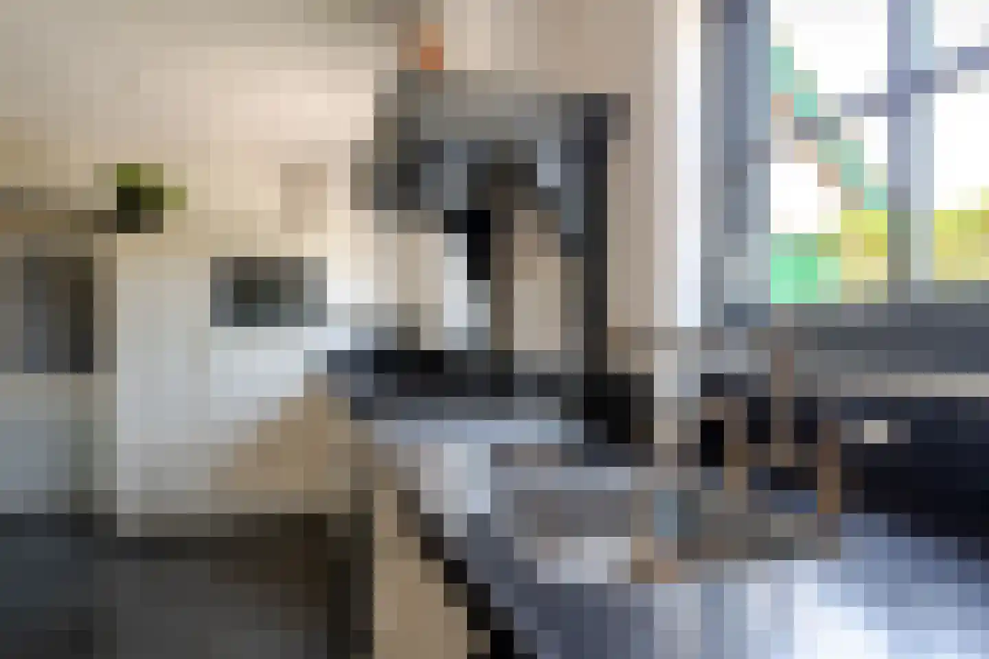 Compagnonsfeart 17 Lippenhuizen thumbnail 26