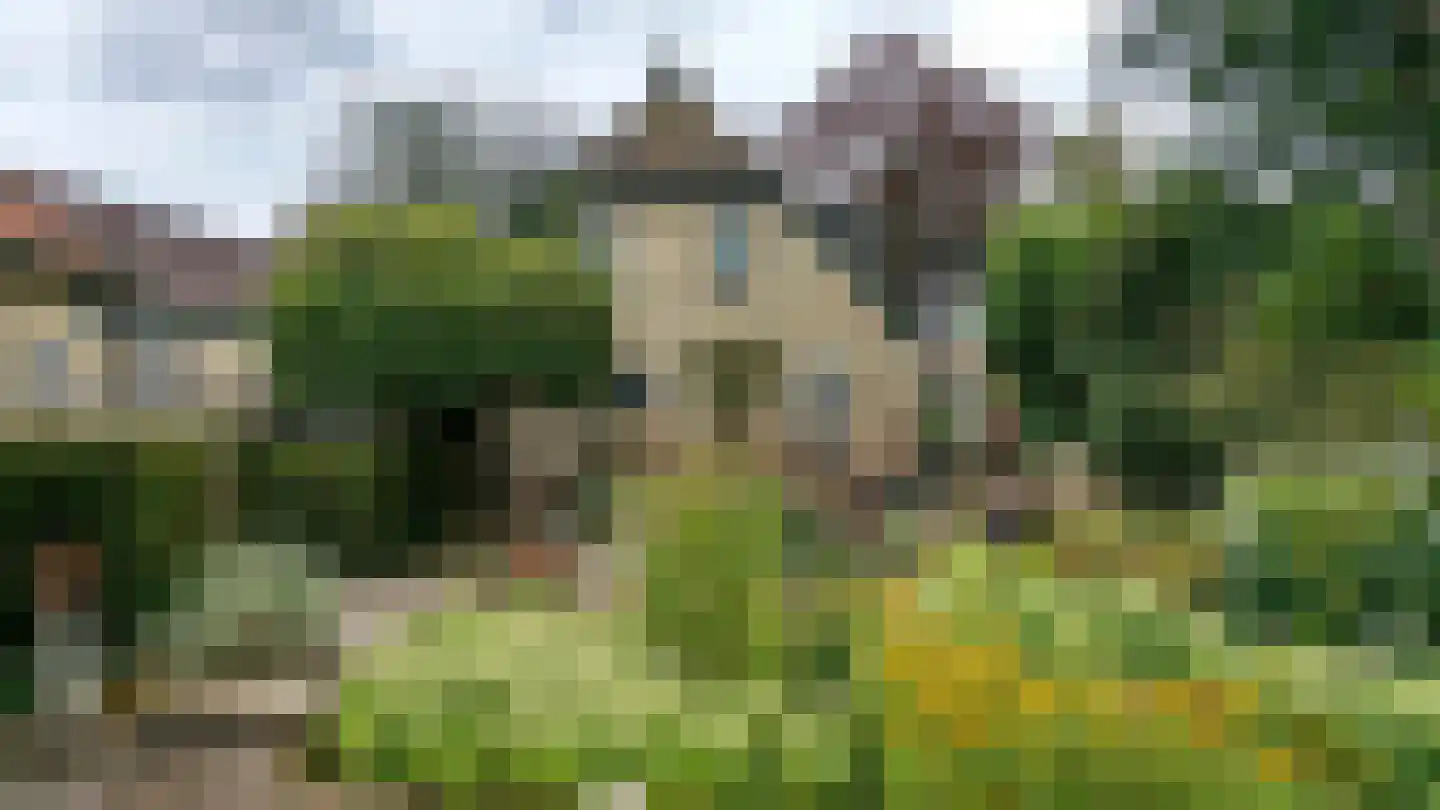 Compagnonsfeart 17 Lippenhuizen thumbnail 40