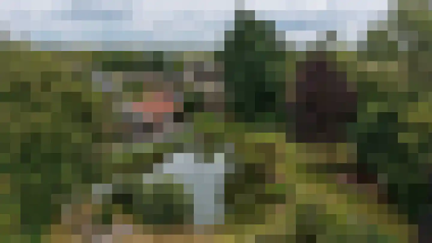 Compagnonsfeart 17 Lippenhuizen thumbnail 41