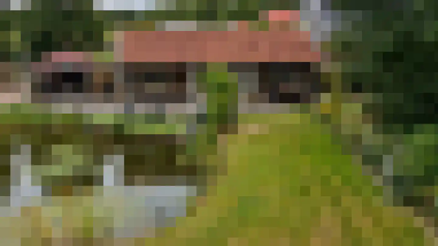 Compagnonsfeart 17 Lippenhuizen thumbnail 43