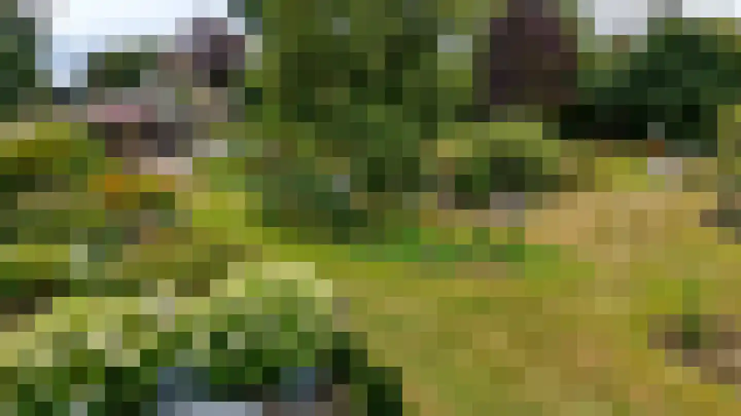 Compagnonsfeart 17 Lippenhuizen thumbnail 48