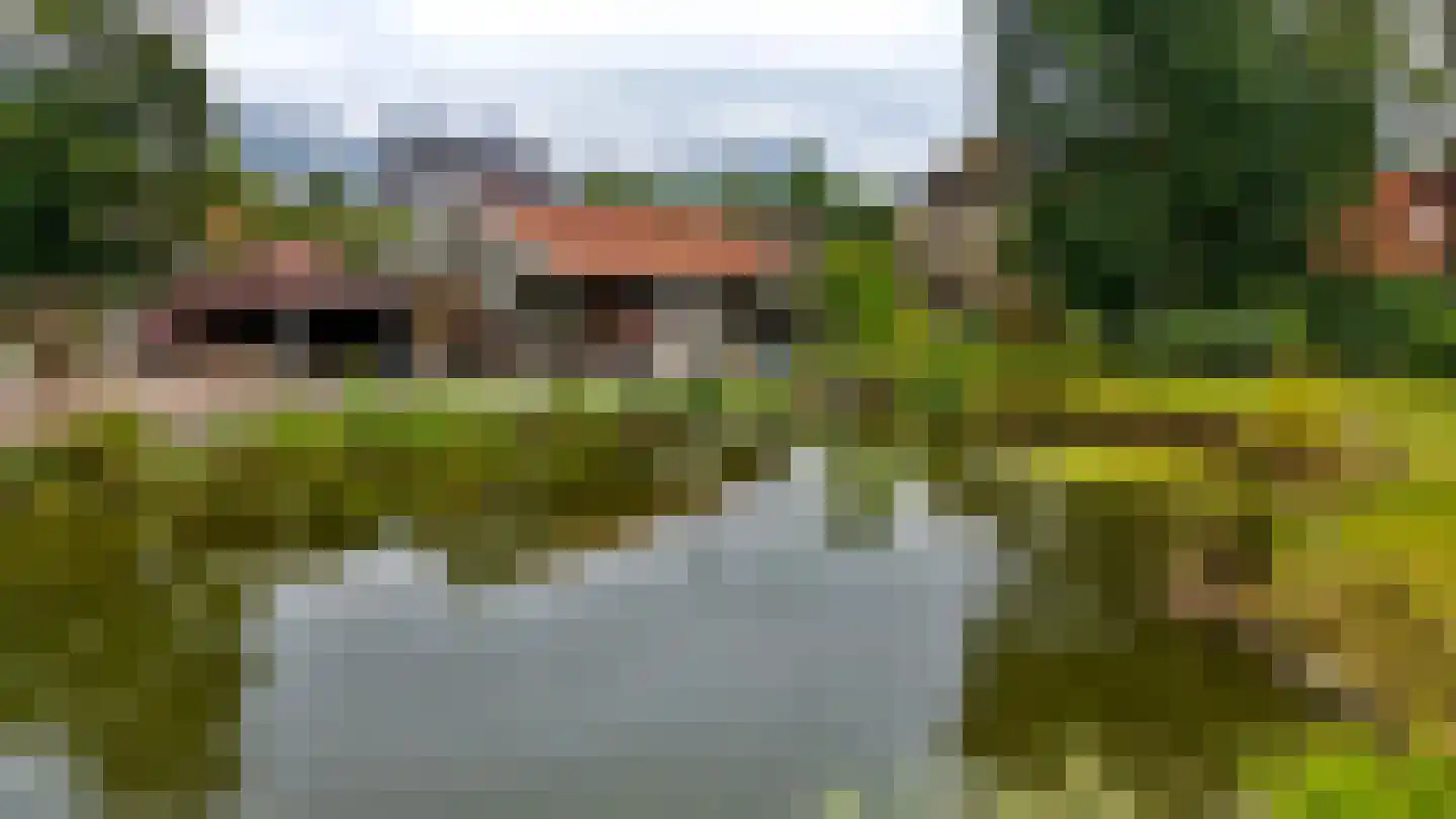 Compagnonsfeart 17 Lippenhuizen thumbnail 49
