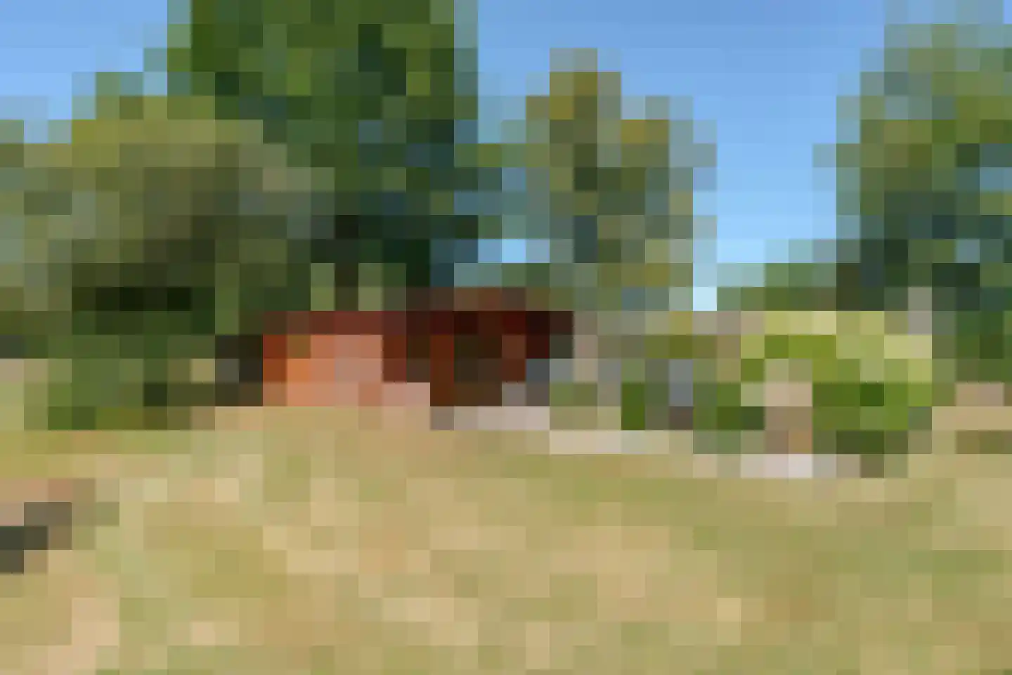Compagnonsfeart 17 Lippenhuizen thumbnail 50