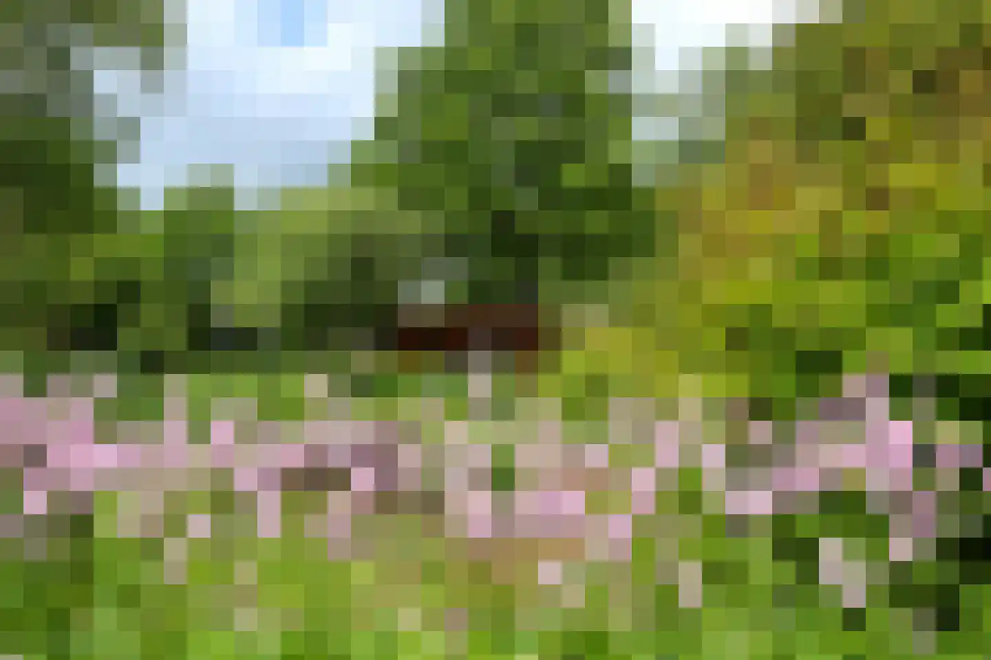 Compagnonsfeart 17 Lippenhuizen thumbnail 51
