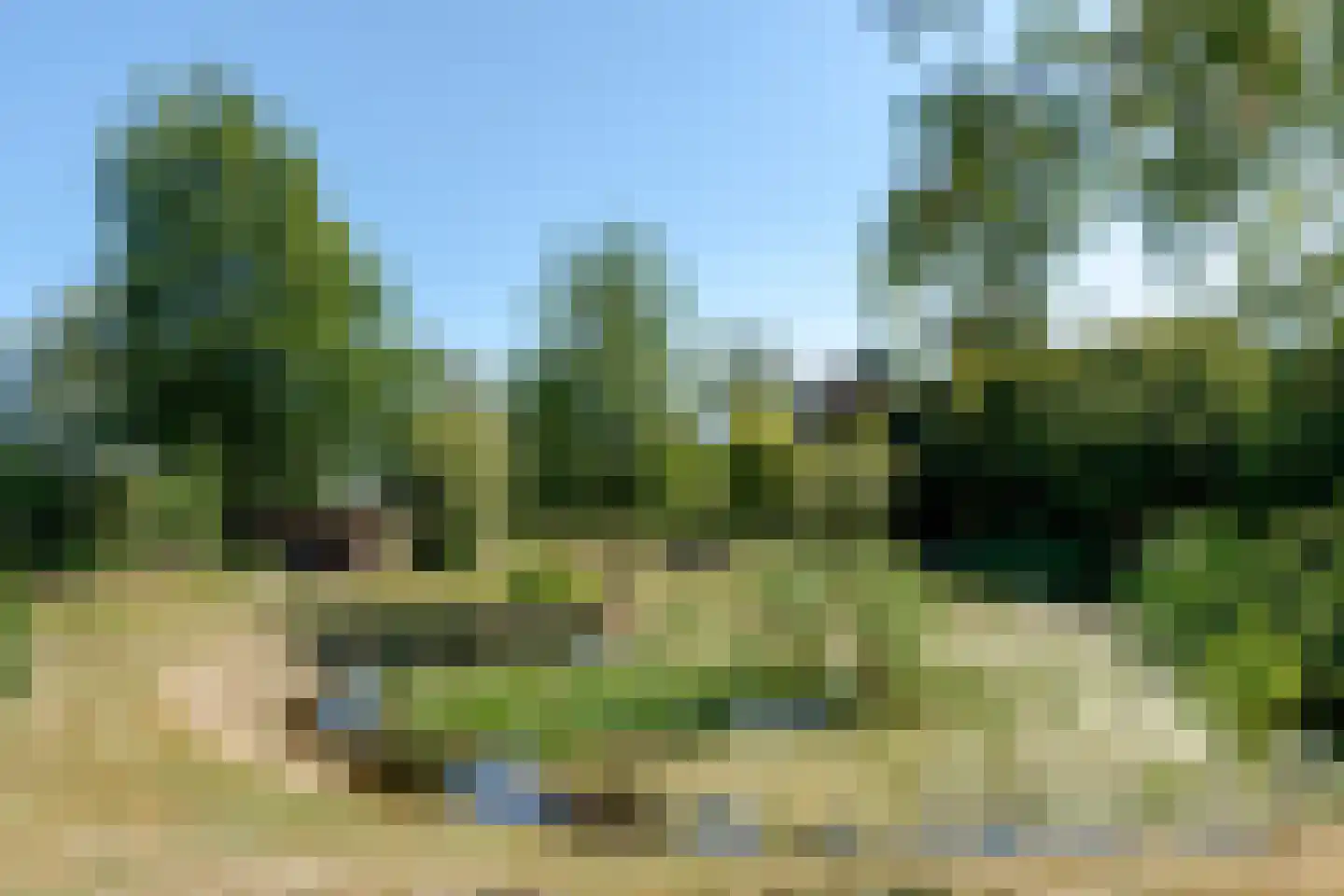 Compagnonsfeart 17 Lippenhuizen thumbnail 53