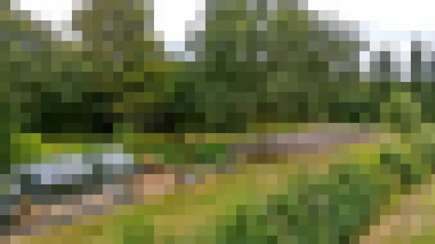 Compagnonsfeart 17 Lippenhuizen thumbnail 55