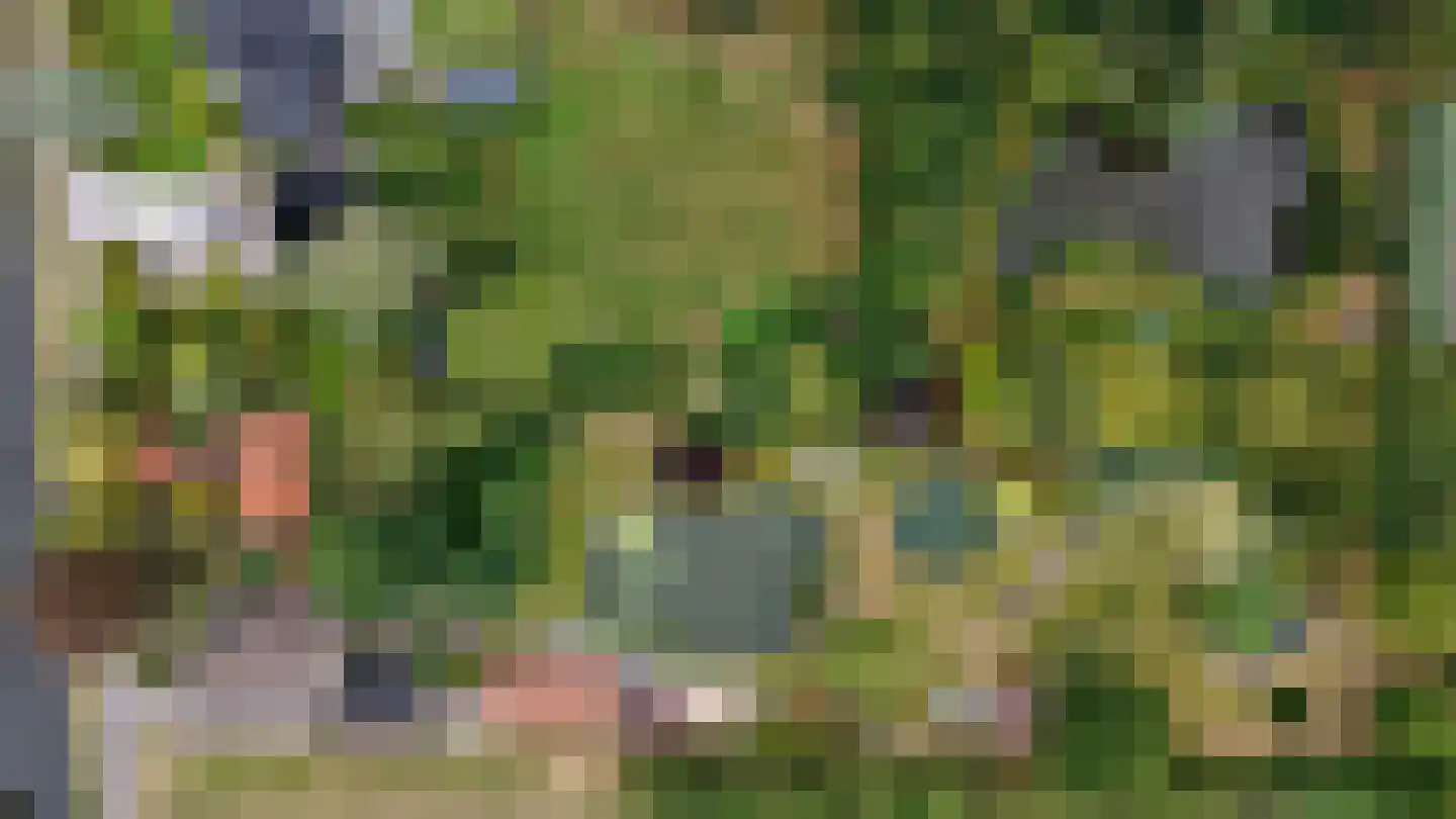 Compagnonsfeart 17 Lippenhuizen thumbnail 60