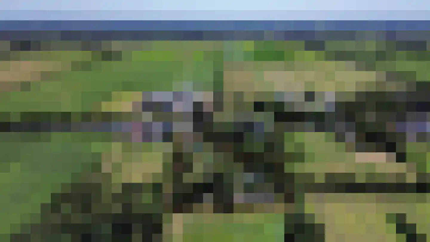 Compagnonsfeart 17 Lippenhuizen thumbnail 7
