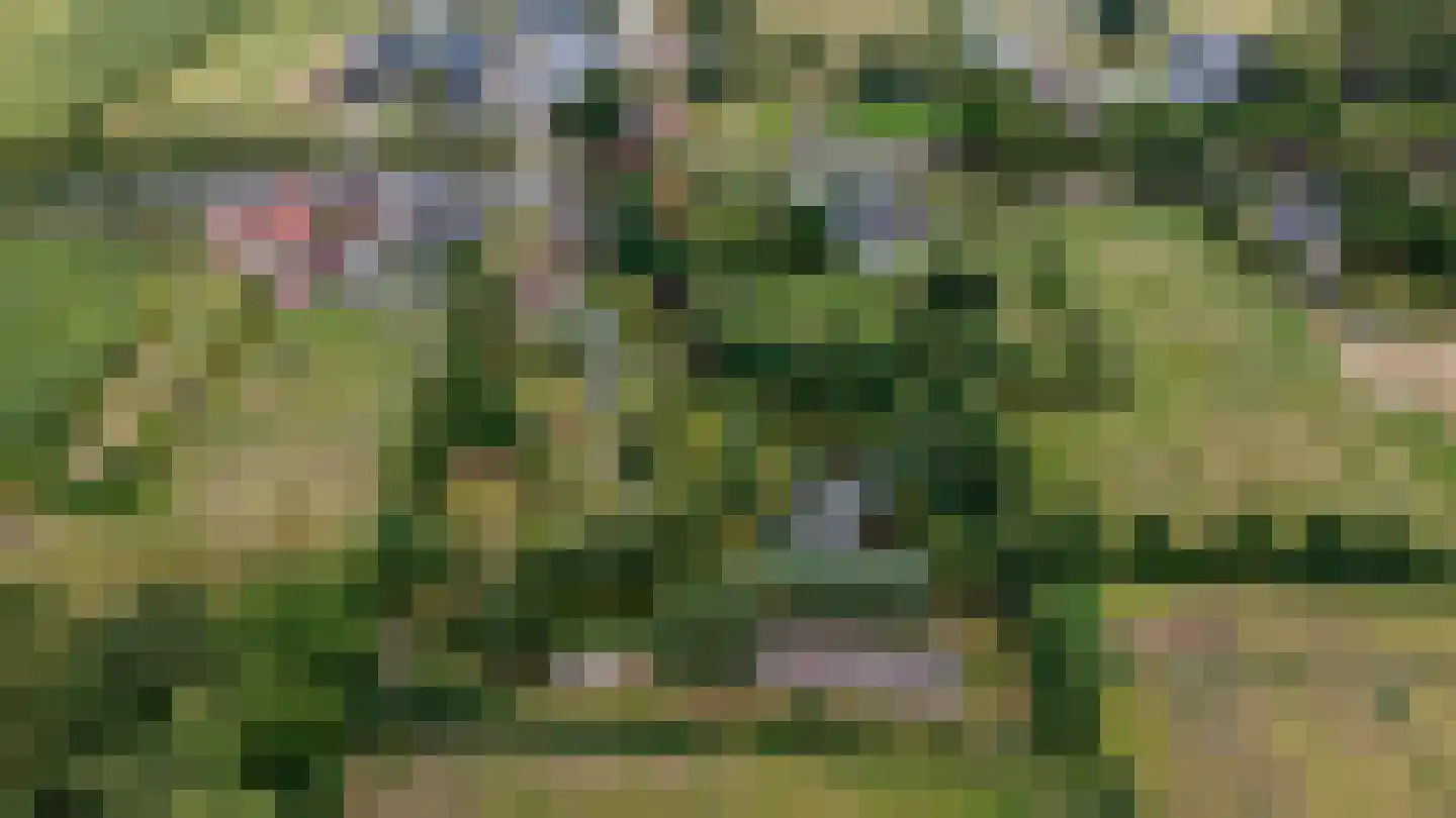 Compagnonsfeart 17 Lippenhuizen thumbnail 8