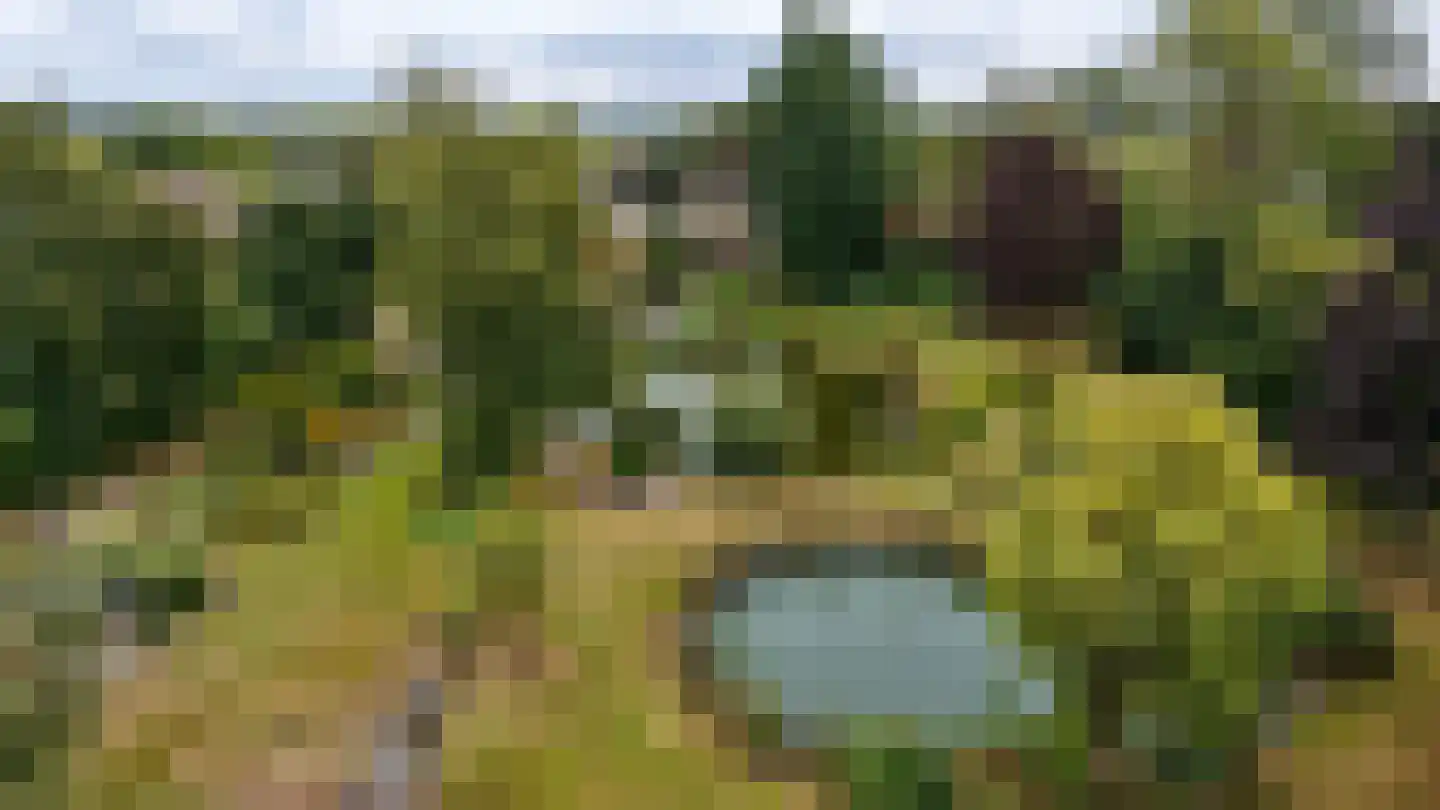 Compagnonsfeart 17 Lippenhuizen thumbnail 9