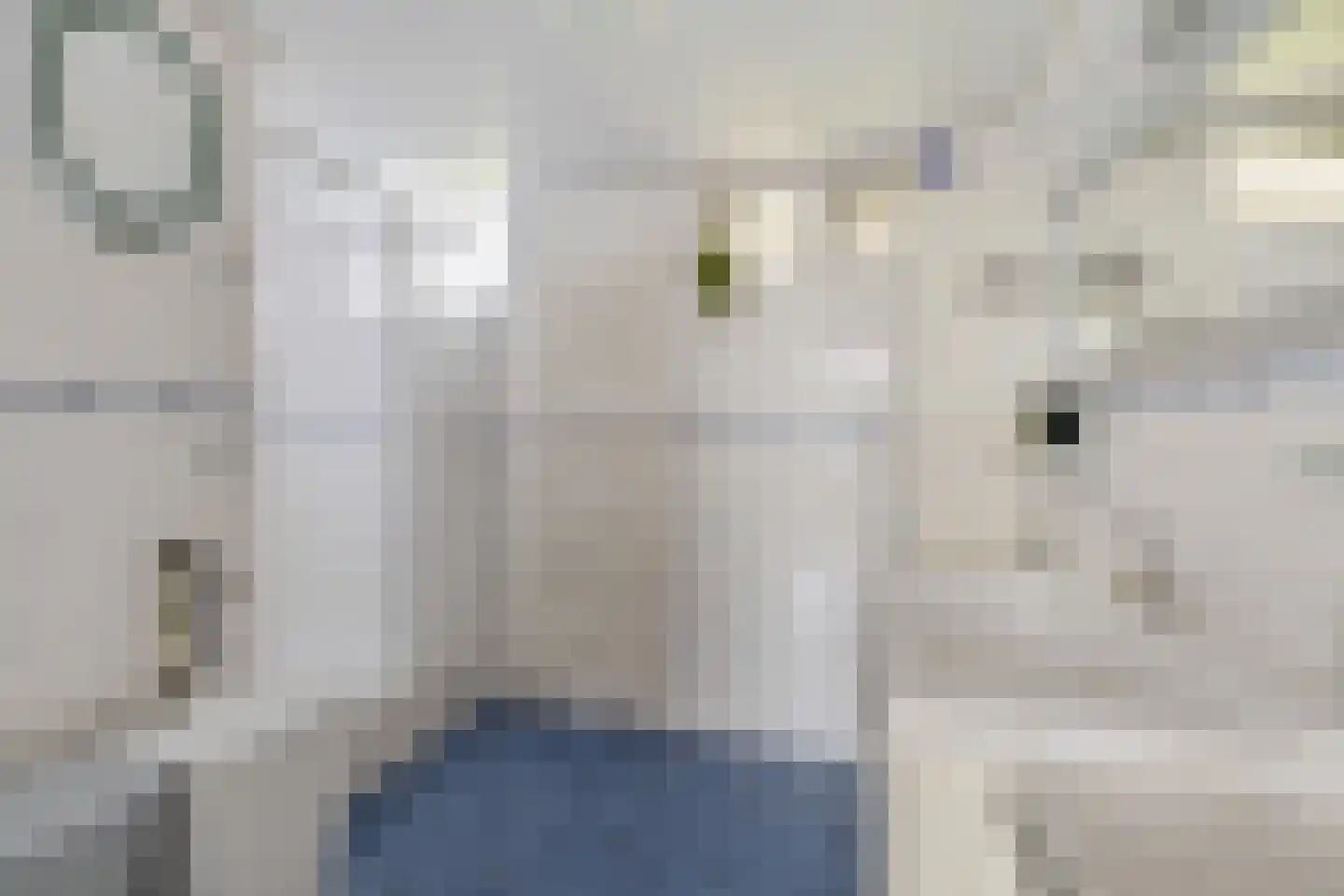 Compagnonsfeart 30 Hemrik thumbnail 20