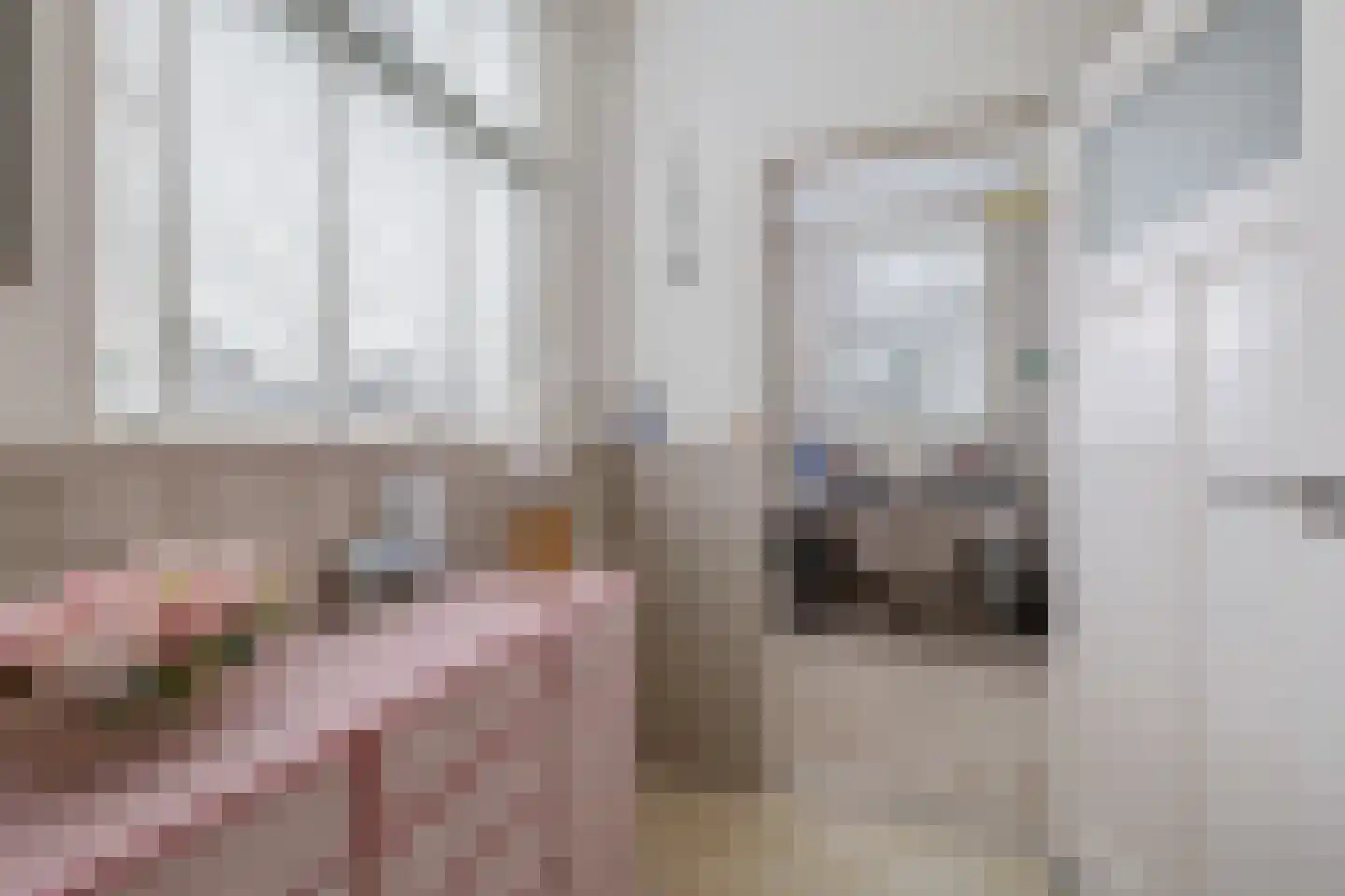 Compagnonsfeart 30 Hemrik thumbnail 23