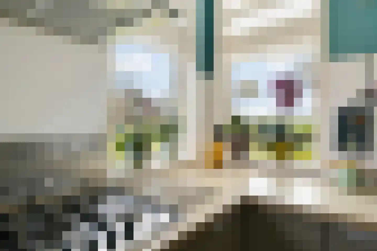 Compagnonsfeart 30 Hemrik thumbnail 31