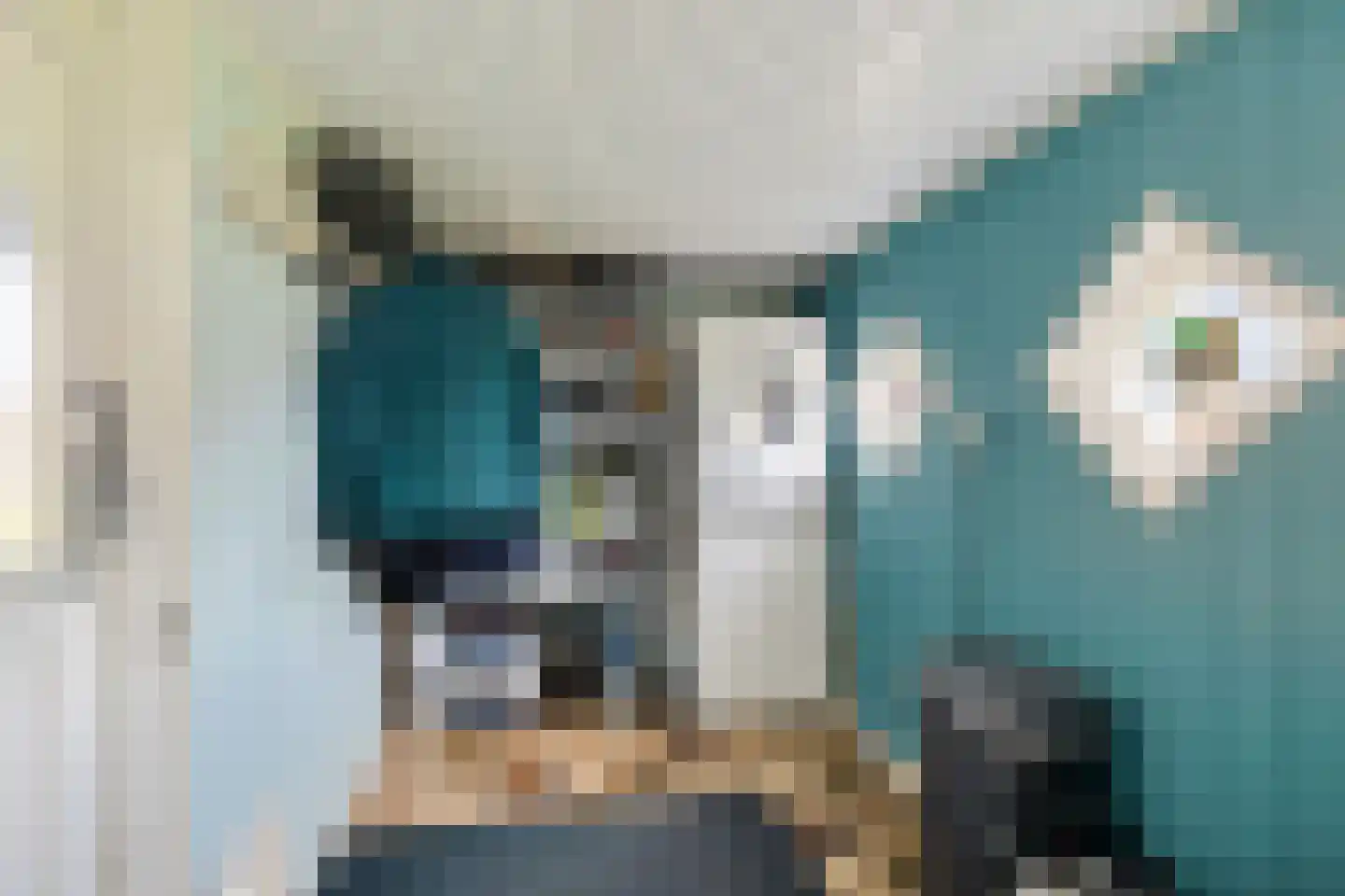 Compagnonsfeart 30 Hemrik thumbnail 34