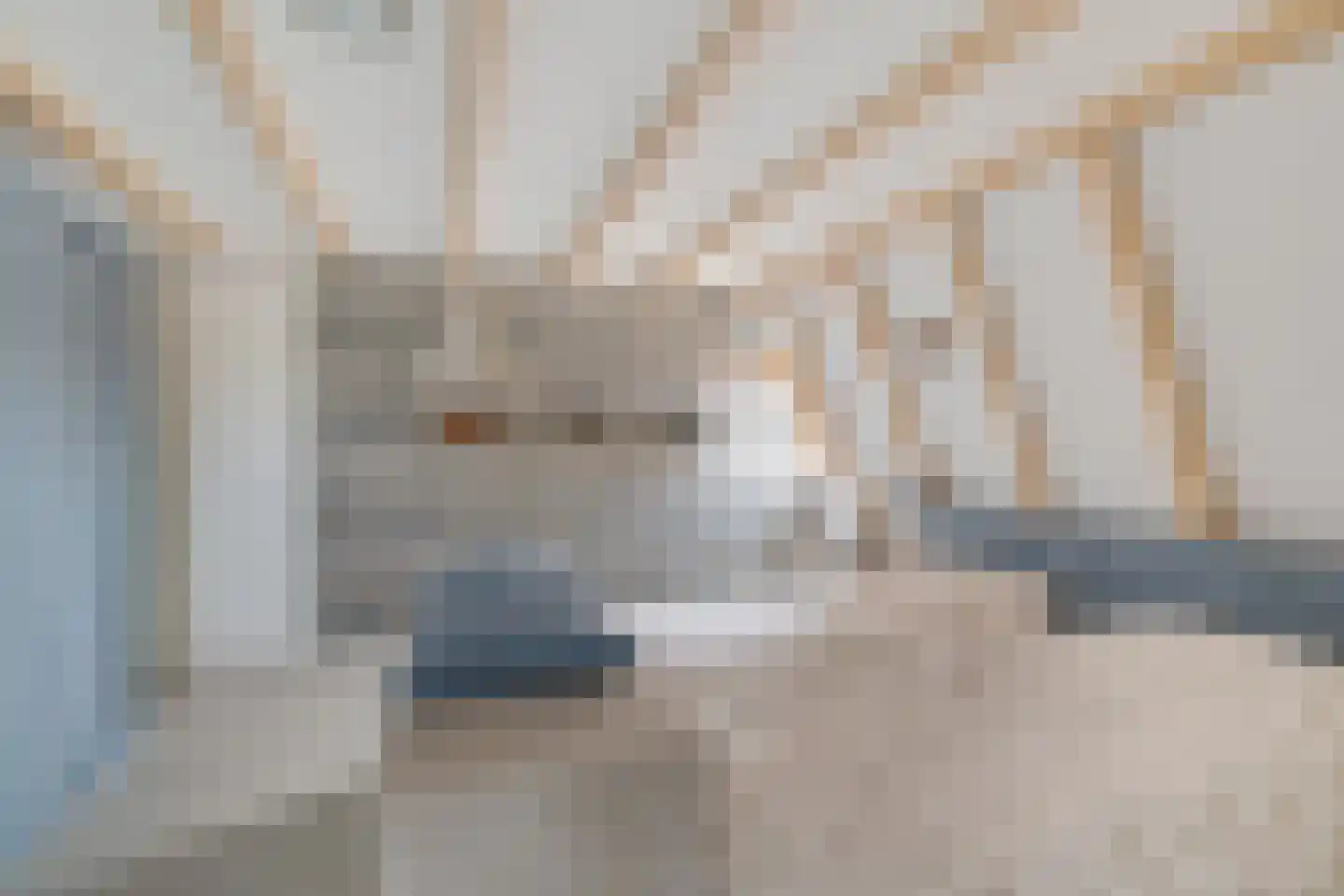 Compagnonsfeart 30 Hemrik thumbnail 36