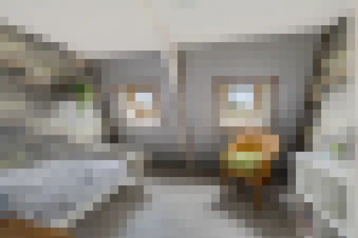 Compagnonsfeart 30 Hemrik thumbnail 39