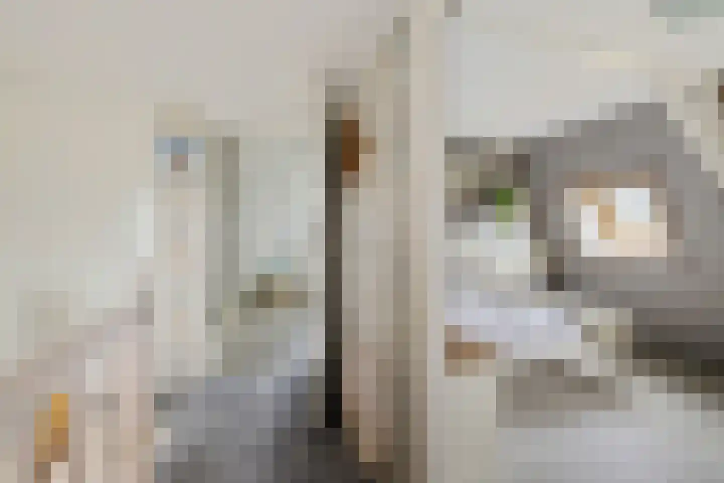 Compagnonsfeart 30 Hemrik thumbnail 40