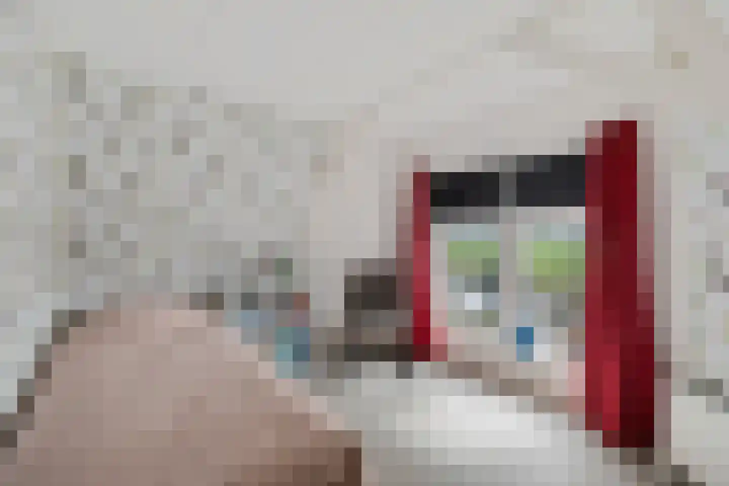 Compagnonsfeart 30 Hemrik thumbnail 41