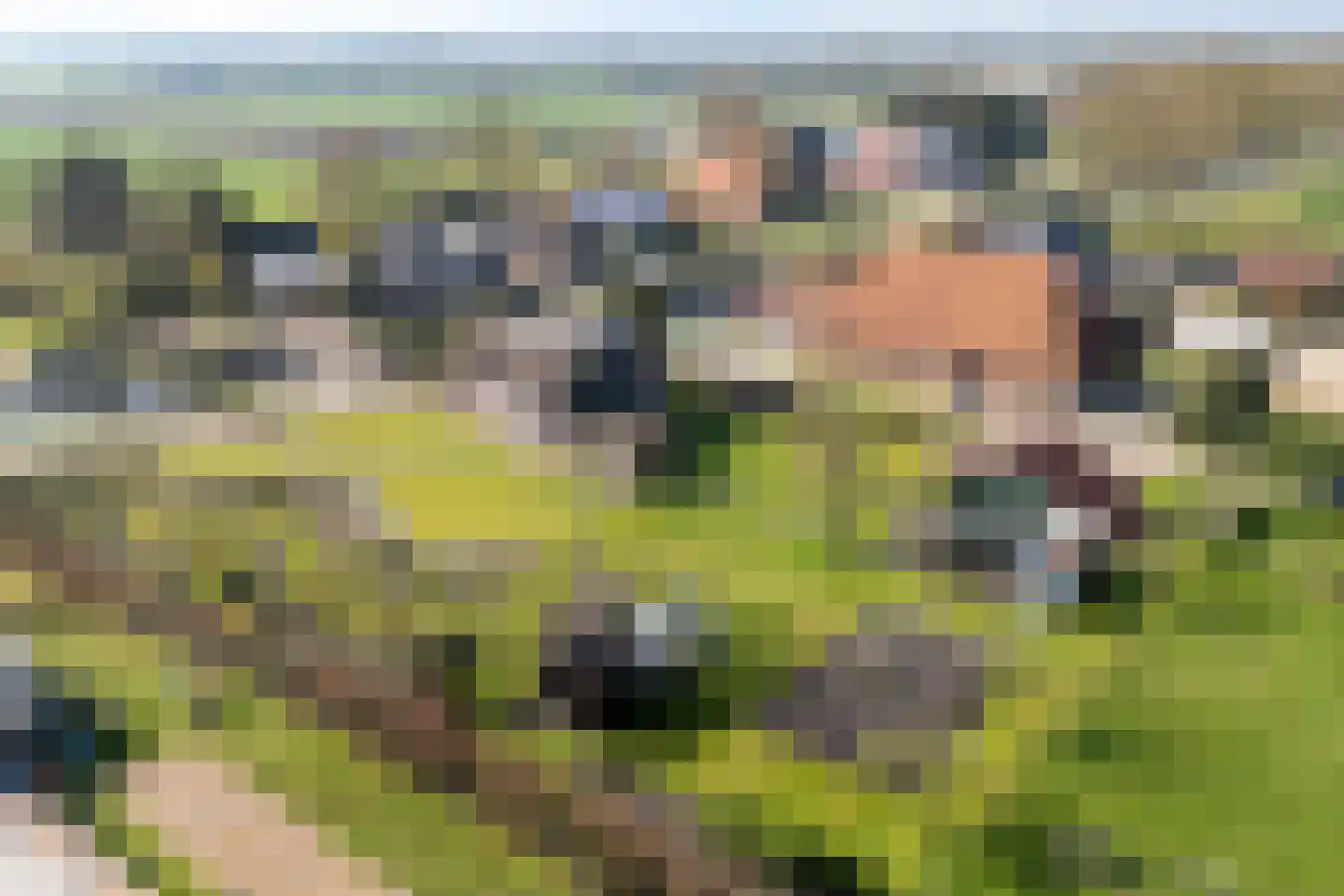 Compagnonsfeart 30 Hemrik thumbnail 62