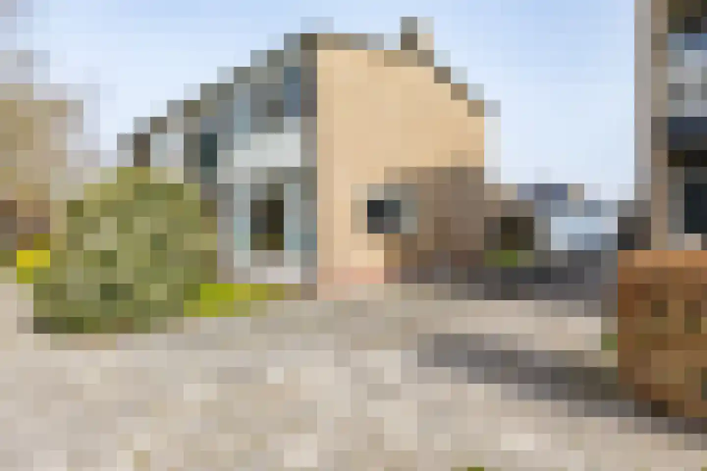 Compagnonsstrjitte 103 Gorredijk thumbnail 11