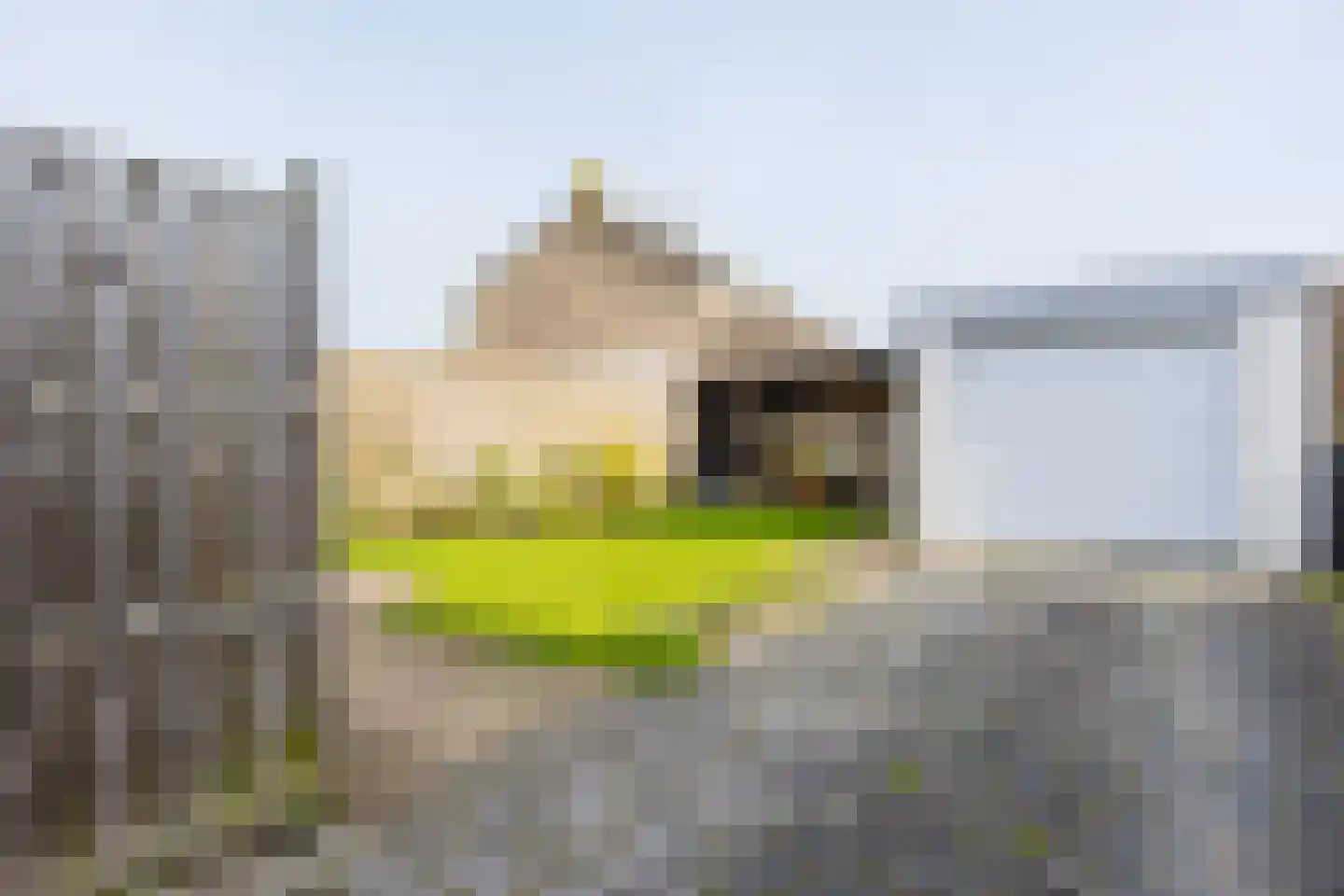 Compagnonsstrjitte 103 Gorredijk thumbnail 12