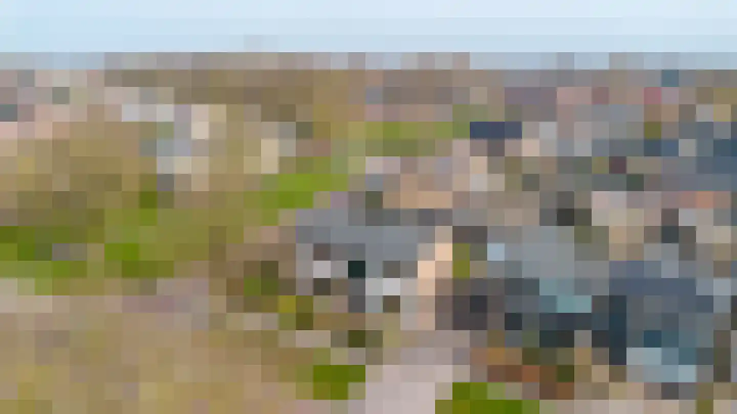 Compagnonsstrjitte 103 Gorredijk thumbnail 17
