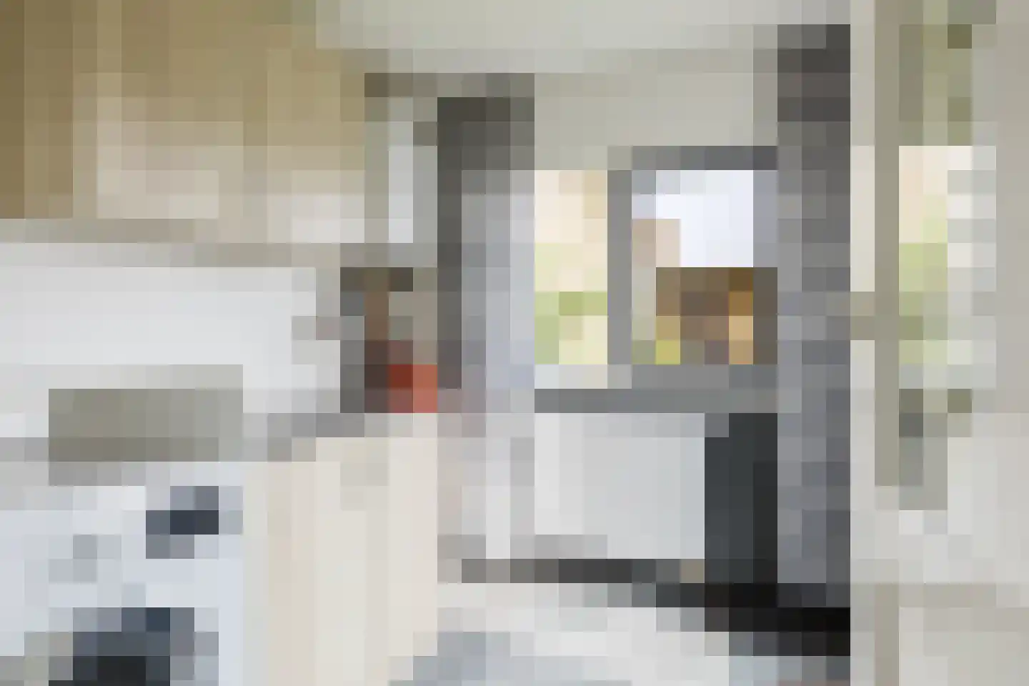 Compagnonsstrjitte 103 Gorredijk thumbnail 29