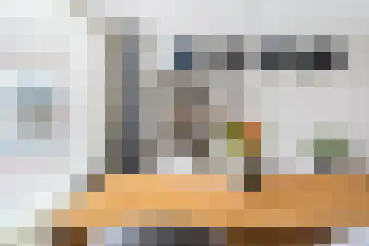 Compagnonsstrjitte 114 Gorredijk thumbnail 14
