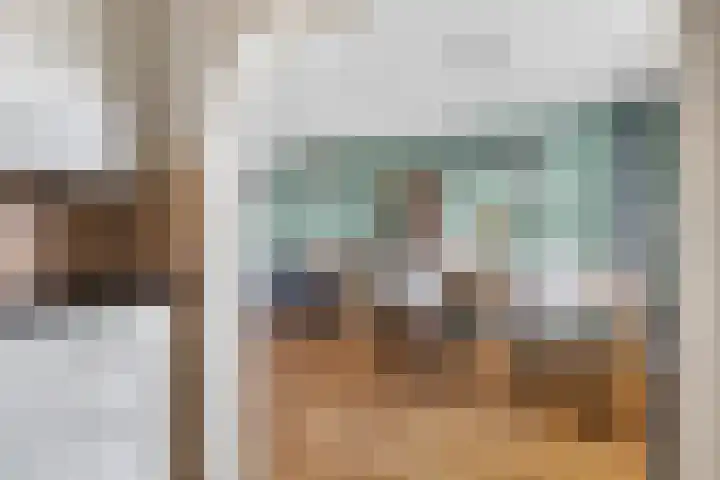 Compagnonsstrjitte 114 Gorredijk thumbnail 17