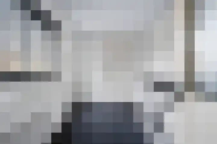 Compagnonsstrjitte 114 Gorredijk thumbnail 18