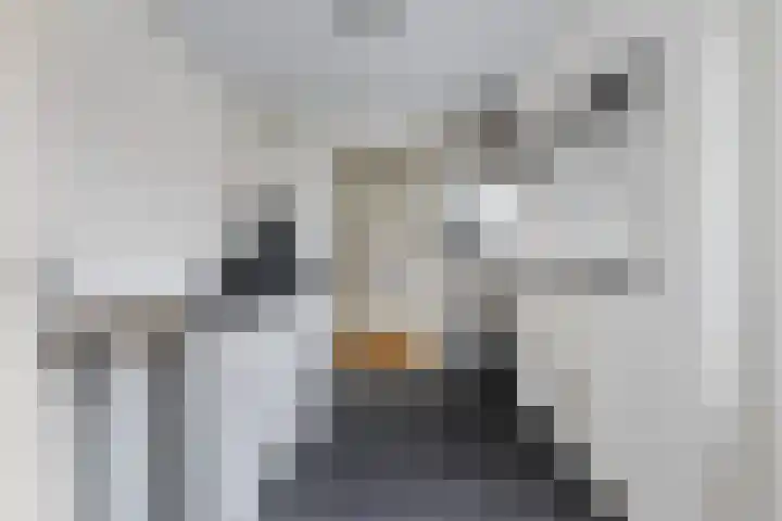 Compagnonsstrjitte 114 Gorredijk thumbnail 19