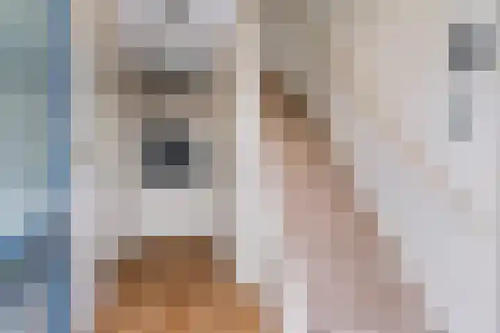 Compagnonsstrjitte 114 Gorredijk thumbnail 20