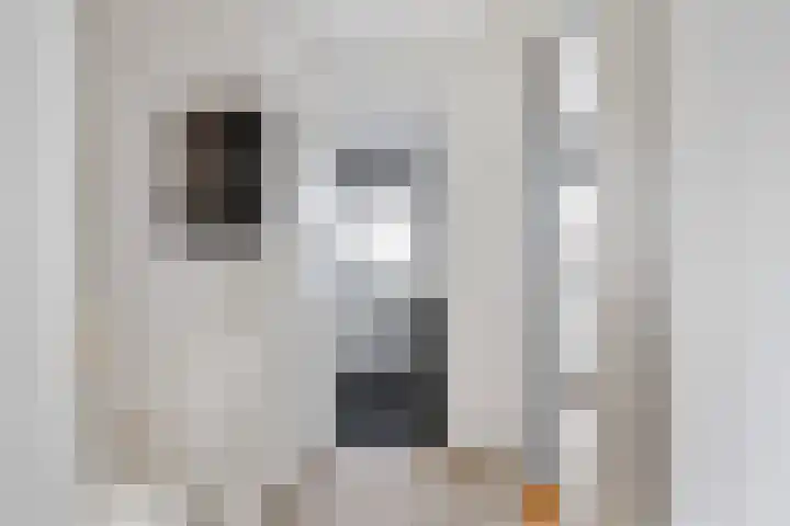 Compagnonsstrjitte 114 Gorredijk thumbnail 21