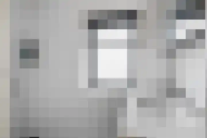 Compagnonsstrjitte 114 Gorredijk thumbnail 23