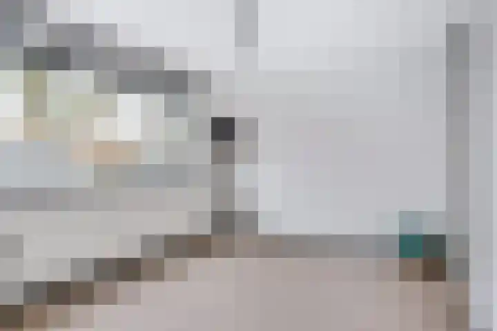Compagnonsstrjitte 114 Gorredijk thumbnail 25
