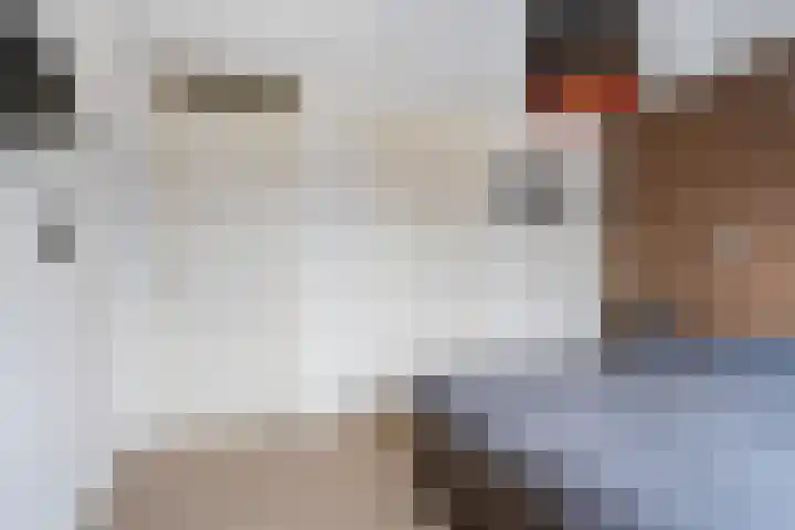 Compagnonsstrjitte 114 Gorredijk thumbnail 29