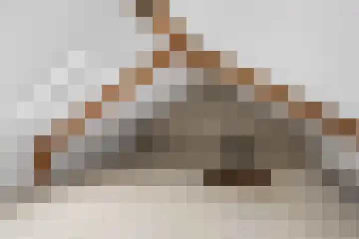 Compagnonsstrjitte 114 Gorredijk thumbnail 32