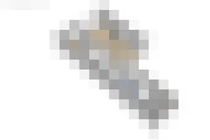 Compagnonsstrjitte 114 Gorredijk thumbnail 36