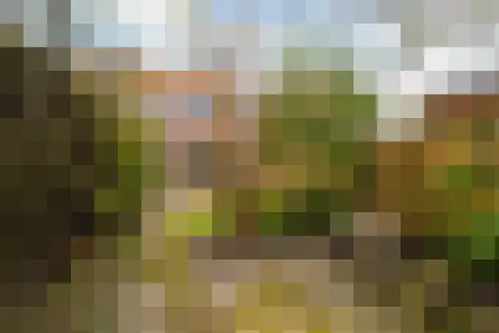 Compagnonsstrjitte 114 Gorredijk thumbnail 4