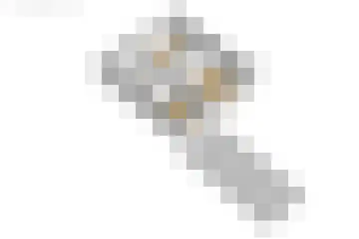 Compagnonsstrjitte 114 Gorredijk thumbnail 40